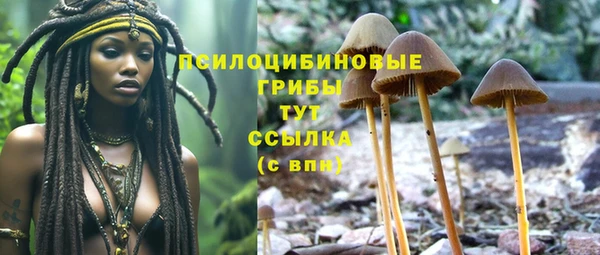 метамфетамин Аркадак