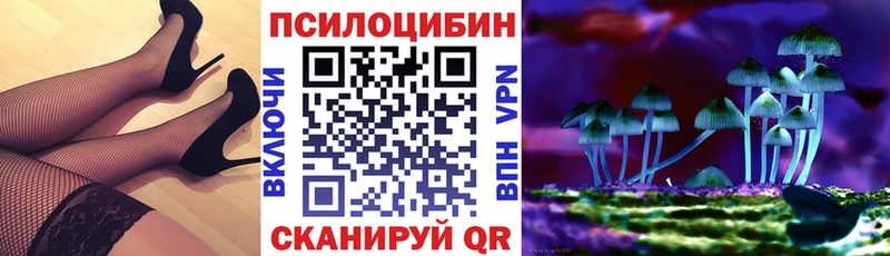 Галлюциногенные грибы Magic Shrooms  где купить наркоту  мега онион  Тырныауз 